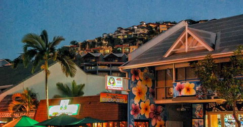 Airlie Beach Party Bus - Accommodation QLD 3