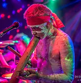 Didgeridoo Jam In The Park - Accommodation QLD 1