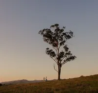 Faulls Ridge Winery - Accommodation QLD