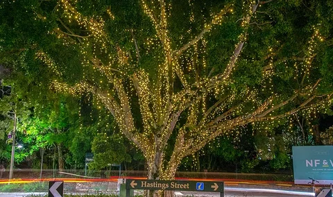 The Sunshine Coast Tour Company - Accommodation QLD 3