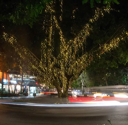 The Sunshine Coast Tour Company - Accommodation QLD 2