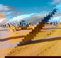 Pinnacles Desert Koalas and Sandboarding 4WD Day Tour from Perth - Accommodation QLD