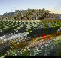 Margaret River Caves Wine and Cape Leeuwin Lighthouse Tour from Perth - Accommodation QLD