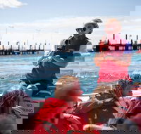 Rottnest Island Tour from Perth or Fremantle including Adventure Speed Boat Ride - Accommodation QLD