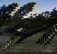 Stargazing Busselton with Mobile Observatory - Accommodation QLD