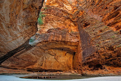 Bungle Bungle Stay Over With Scenic Flights, Guided Walk, Accommodation & Meals - Accommodation QLD 2