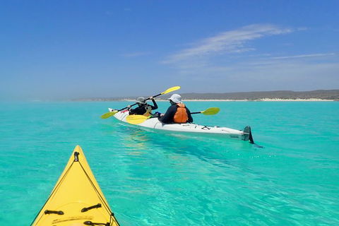 Lagoon Explorer - Ningaloo Reef Full-Day Kayaking And Snorkeling Adventure - Accommodation QLD 7