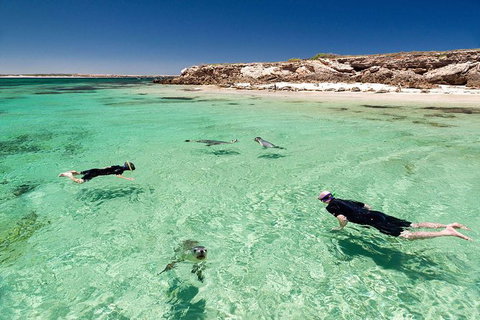10 Day Perth To Adelaide - The Great Australian Wilderness Journey - Accommodation QLD 6