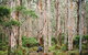 10 Day Perth To Adelaide - The Great Australian Wilderness Journey - thumb 18