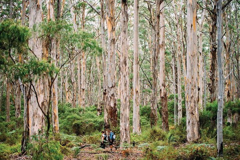 10 Day Perth To Adelaide - The Great Australian Wilderness Journey - Accommodation QLD 18