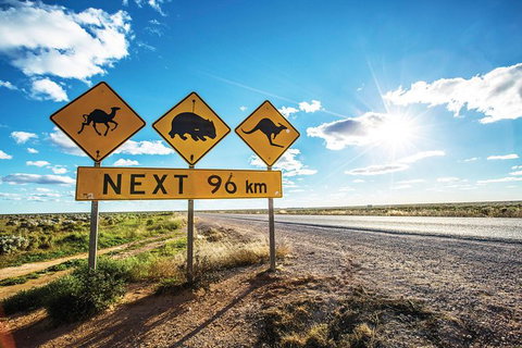 10 Day Perth To Adelaide - The Great Australian Wilderness Journey - Accommodation QLD 17