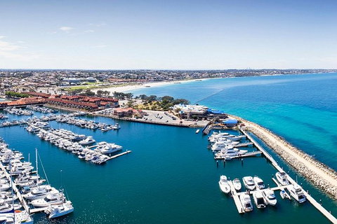 Snorkel With Sharks At AQWA - Accommodation QLD 7