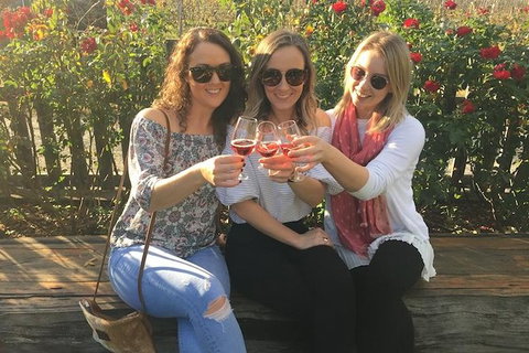Swan Valley Wine Full Day Tour - Accommodation QLD 4