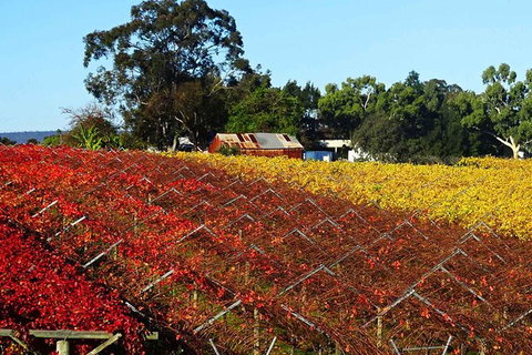 Swan Valley Wine Time (Private) Day Tour - Accommodation QLD 0