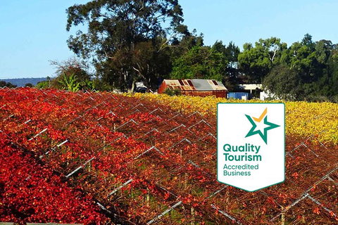 Swan Valley Wine Time (Private) Day Tour - Accommodation QLD 2