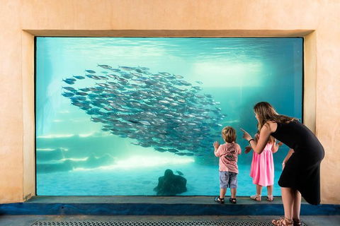 AQWA The Aquarium Of Western Australia: General Admission - Accommodation QLD 0