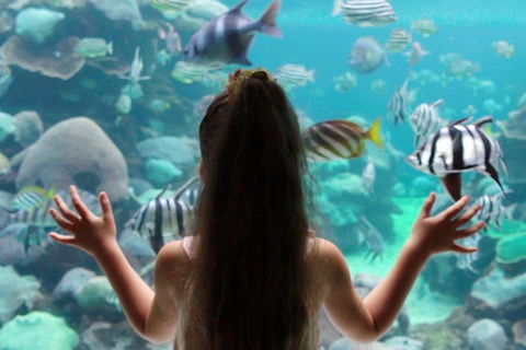 AQWA The Aquarium Of Western Australia: General Admission - Accommodation QLD 1