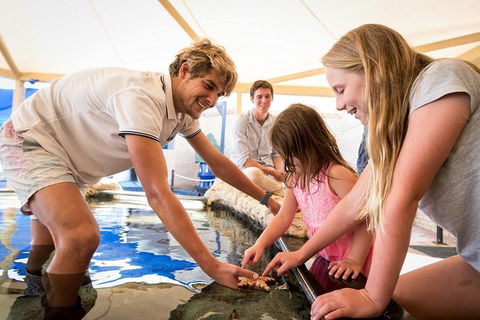 AQWA The Aquarium Of Western Australia: General Admission - Accommodation QLD 5
