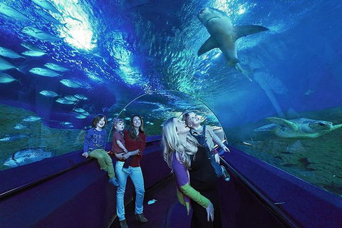 AQWA The Aquarium Of Western Australia: General Admission - Accommodation QLD 14