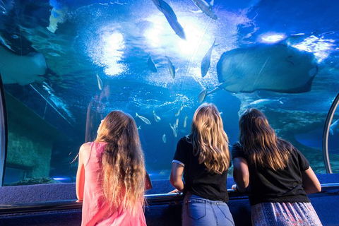 AQWA The Aquarium Of Western Australia: General Admission - Accommodation QLD 7
