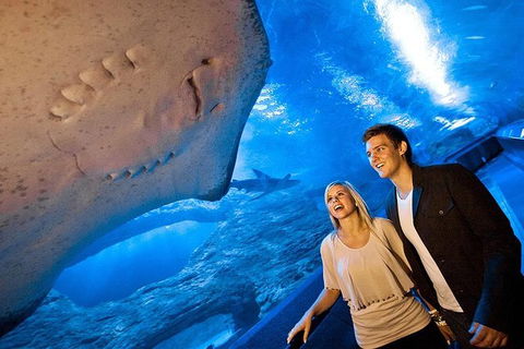 AQWA The Aquarium Of Western Australia: General Admission - Accommodation QLD 6