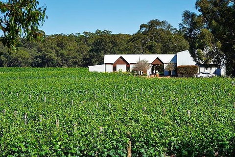 Upper Reach Winery: Swan Valley Winery And Vineyard Tour - Accommodation QLD 2