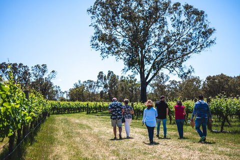 Upper Reach Winery: Swan Valley Winery And Vineyard Tour - Accommodation QLD 3