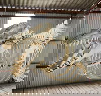 Albany's Whale Story - Accommodation QLD