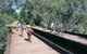 Perth Hills - Wildlife, Art & Gastronomy - thumb 5