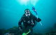 Rottnest Island Scuba Diving From Fremantle - thumb 1