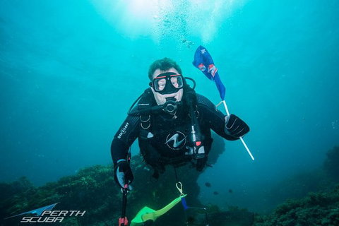Rottnest Island Scuba Diving From Fremantle - Accommodation QLD 1