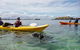Seal Island And Penguin Island Or Point Peron Sea Kayak Tour - thumb 0