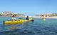Seal Island And Penguin Island Or Point Peron Sea Kayak Tour - thumb 3