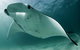 6-Day Coral Coaster From Perth To Exmouth One-Way Via Monkey Mia Ningaloo Reef - thumb 1