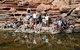 6-Day Coral Coaster From Perth To Exmouth One-Way Via Monkey Mia Ningaloo Reef - thumb 3