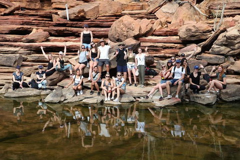 6-Day Coral Coaster From Perth To Exmouth One-Way Via Monkey Mia Ningaloo Reef - Accommodation QLD 3