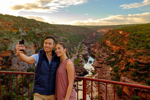 6-Day Coral Coaster From Perth To Exmouth One-Way Via Monkey Mia Ningaloo Reef - Accommodation QLD 8