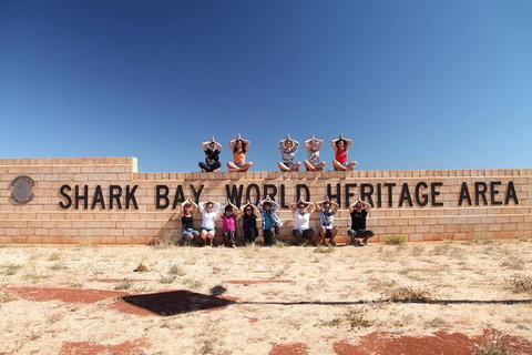 6-Day Coral Coaster From Perth To Exmouth One-Way Via Monkey Mia Ningaloo Reef - Accommodation QLD 13