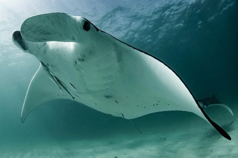 6-Day Coral Coaster From Perth To Exmouth One-Way Via Monkey Mia Ningaloo Reef - Accommodation QLD 14