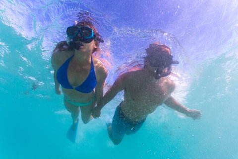 6-Day Coral Coaster From Perth To Exmouth One-Way Via Monkey Mia Ningaloo Reef - Accommodation QLD 2