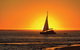 6-Day Coral Coaster From Perth To Exmouth One-Way Via Monkey Mia Ningaloo Reef - thumb 6