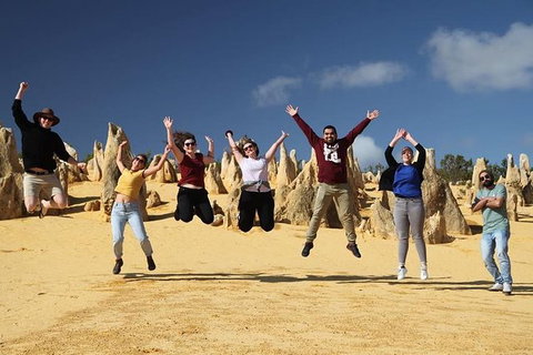 6-Day Coral Coaster From Perth To Exmouth One-Way Via Monkey Mia Ningaloo Reef - Accommodation QLD 4