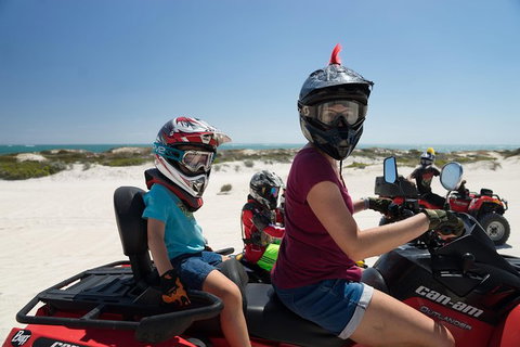 Buggy, Quad Bike, Motocross And Sandboard Tour Lancelin, Sand Dunes - Accommodation QLD 3