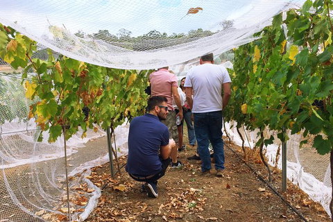 Premium Cider, Wine & Whiskey Tour - Small Group Full-Day Tour From Perth - Accommodation QLD 7