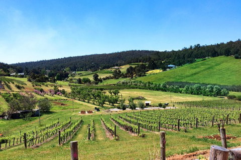 Cider, Wine & Cheese In The Perth Hills - Half-Day Premium Small Group Tour - Accommodation QLD 1