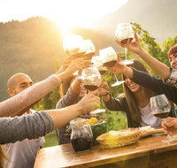 Twilight Winery Experience