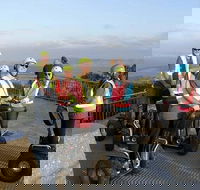 Albany Summit to Sea Adventure - Guided Segway Tour - Accommodation QLD