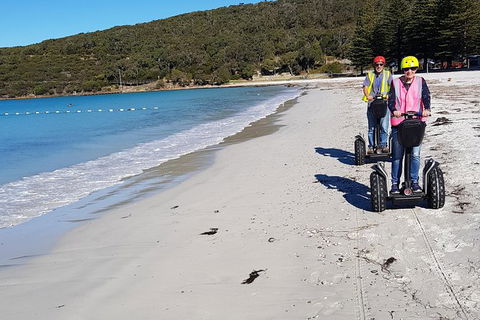 Albany Summit To Sea Adventure - Guided Segway Tour - Accommodation QLD 1