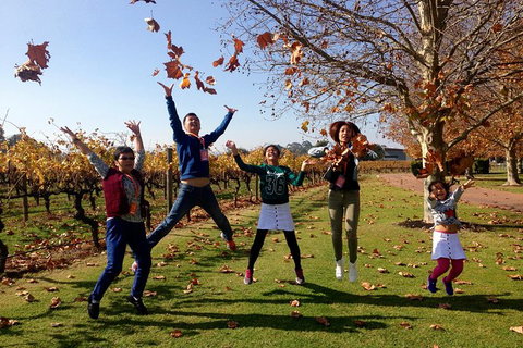 Swan Valley Half-Day Food And Wine Tasting Tour - Accommodation QLD 8