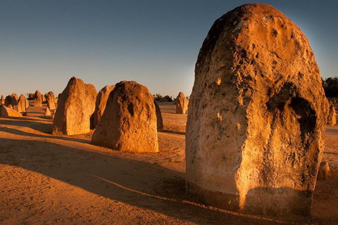 Pinnacles & Rottnest Island Scenic Air & Ground Tour - Accommodation QLD 0